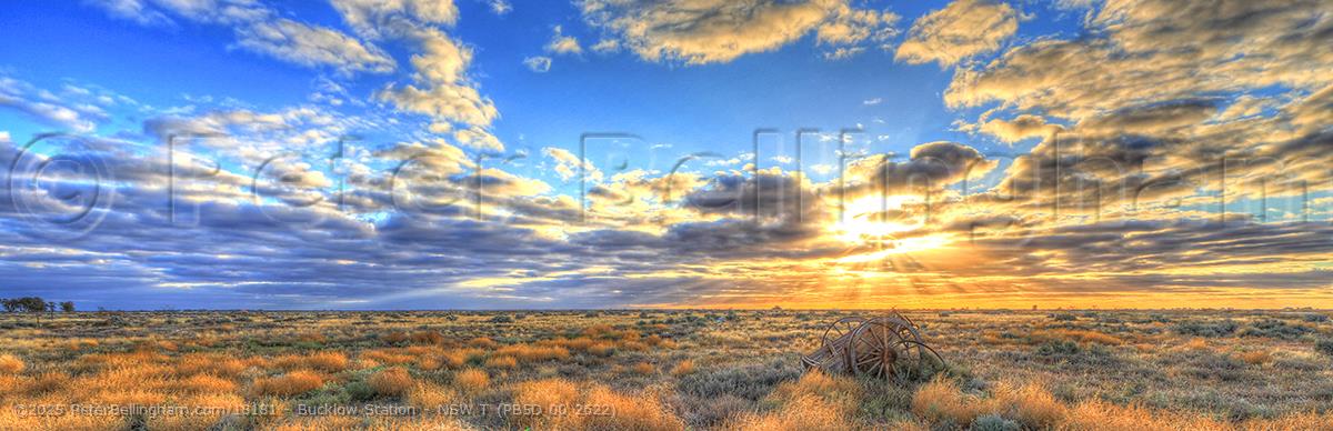 Peter Bellingham Photography Bucklow Station - NSW T (PB5D 00 2622)